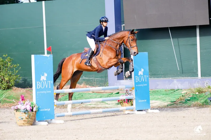 Amara clearing a blue and white fence on a bay horse