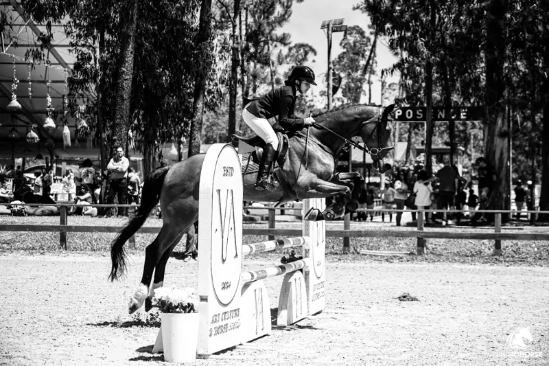 Black and white photo of Amara jumping a decorated fence